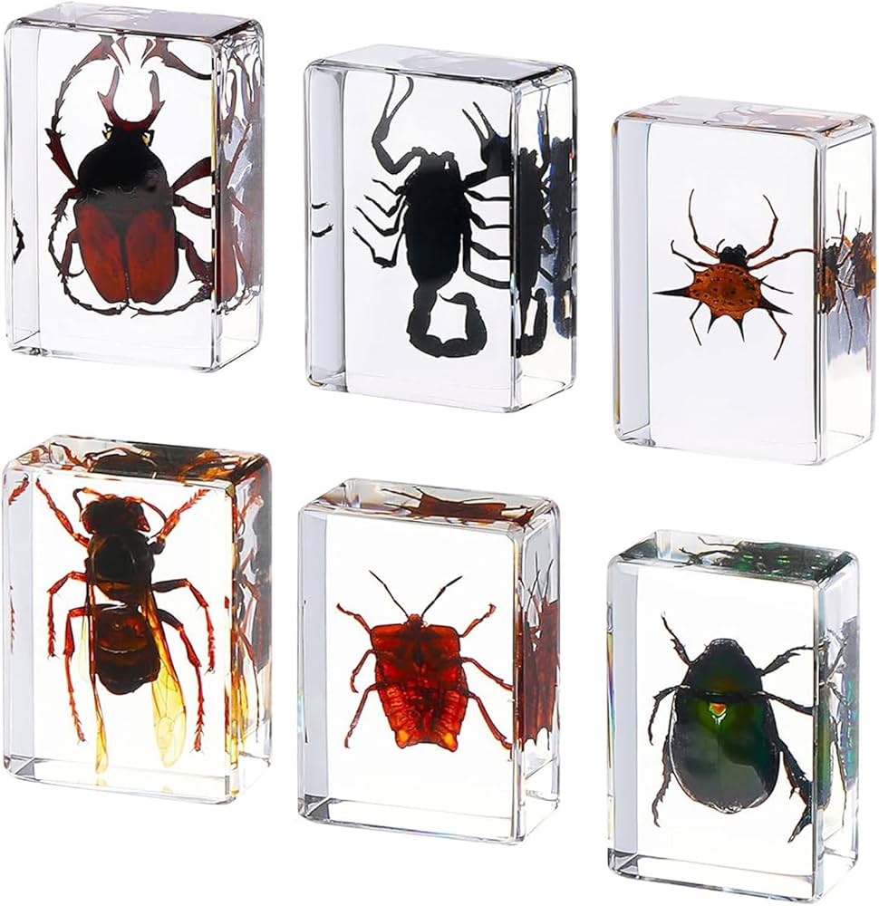 Amazon.co.jp: 樹脂入り昆虫6個 虫コレクション ペーパーウェイト 昆虫